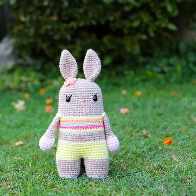 bixie bunny complete