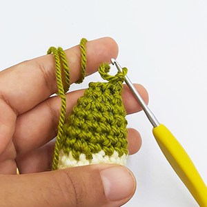 you should be at the right side of your crochet bird to close 