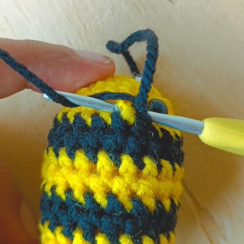 where to insert your hook to crochet the antennae